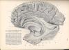 53331AB_2.jpg