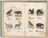 Alphabet illustré. 80 Vignetts et lettres ornées.