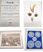 Unser Beitrag im Messekatalog zur Antiquaria 2026