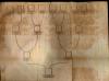 54036AB_5.jpg